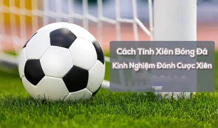 Cách tính cược xiên tại nhà cái W88