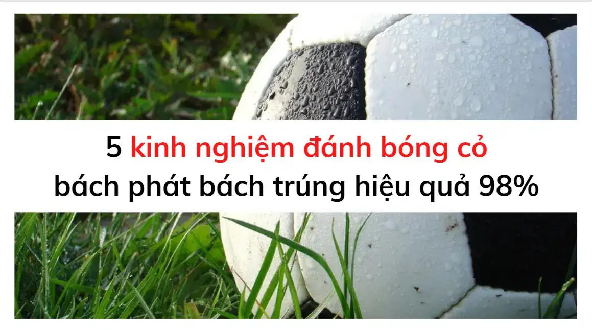 kinh nghiệm đánh bóng cỏ 2