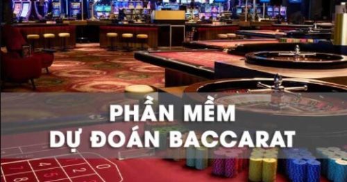 Tổng hợp phần mềm dự đoán Baccarat chuẩn xác nhất