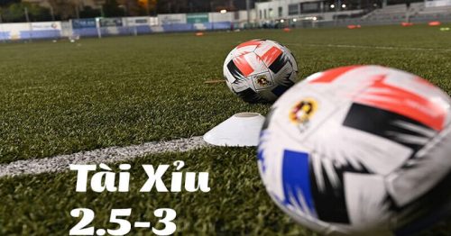 Kèo tài xỉu 2.5-3 là gì? Cách đánh kèo tài xỉu 2.5-3 hiệu quả