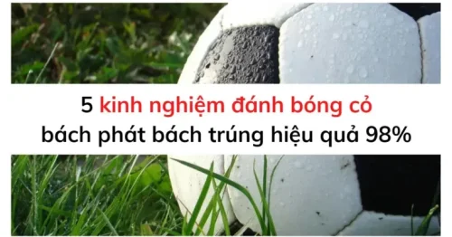 5 kinh nghiệm đánh bóng cỏ hiệu quả giúp bạn bất bại mọi kèo