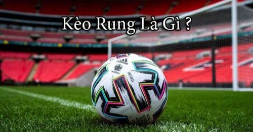 Kèo rung là gì? Cách bắt kèo rung chính xác nhất từ cao thủ